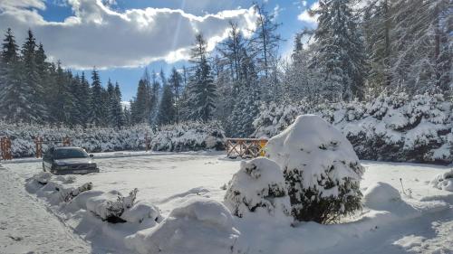 a car driving down a road covered in snow at Penzion Sileo in Pribylina