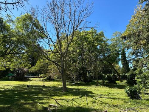 Gallery image of Casa Quinta con pileta en Villa Elisa by Lofter in Villa Elisa