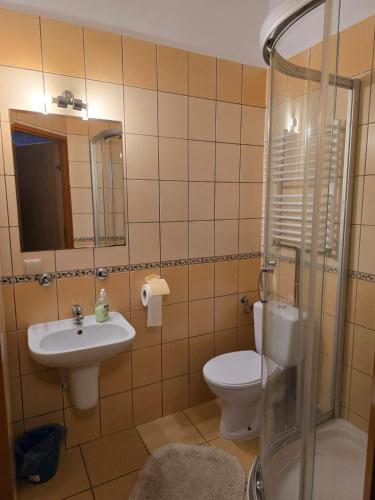 a bathroom with a toilet and a sink and a shower at Pensjonat Feliksów in Wiskitki