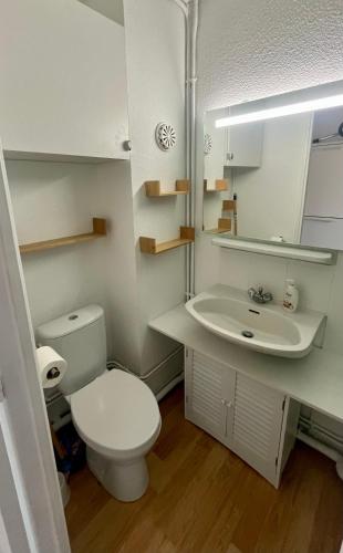 une salle de bain avec des toilettes blanches et un lavabo dans l'établissement Studio à Guzet Neige aux pieds des Pistes et de Ecole de Ski, à Ustou