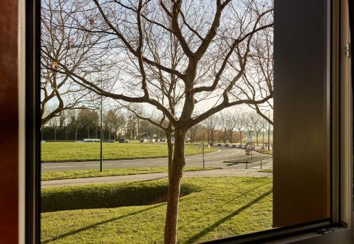 a window view of a tree in the grass at B&B HOTEL Marne-la-Vallée Val d'Europe in Serris