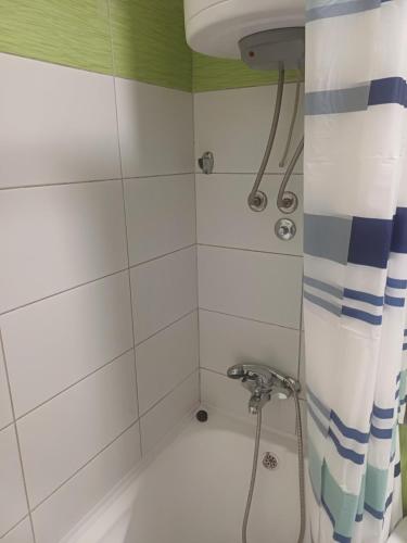 a bathroom with a shower with a shower head at Milutin in Pale