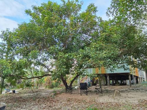 Fotografie z fotogalerie ubytování Pu Ya Homestay v destinaci Ban Khlong Chao