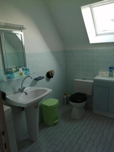 une salle de bain avec un lavabo et des toilettes et une fenêtre dans l'établissement Colette chambre chez l'habitant, à Carhaix-Plouguer