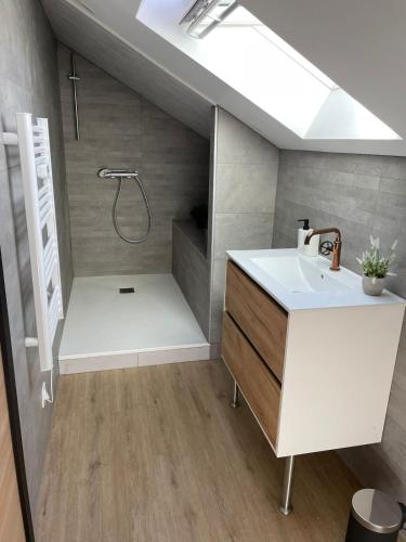 une salle de bain avec une douche avec un lavabo et une douche dans l'établissement Grande Maison Luxeuil 6 chambres, à Luxeuil-les-Bains