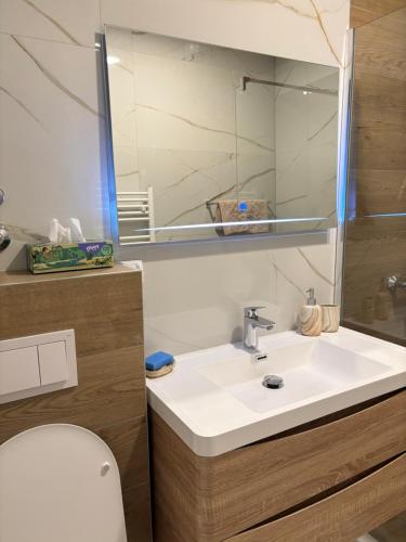 a bathroom with a sink and a toilet and a mirror at Apartman Šumski Rog Bjelašnica in Bjelašnica