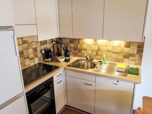 a small kitchen with a sink and a stove at Apartment Wohnung Nr-2 by Interhome in Schluein