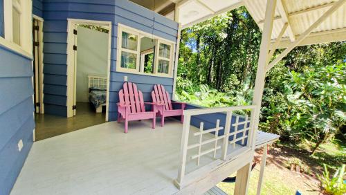 a blue house with two pink chairs on the porch at Jungle Dreamz in Manzanillo