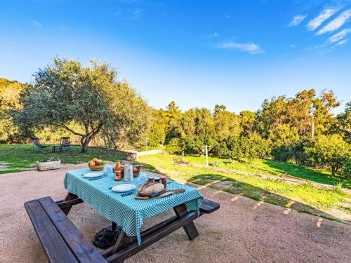 una mesa de picnic con un mantel azul. en Apartment T2 Gabriello by Interhome, en Cala dʼOro