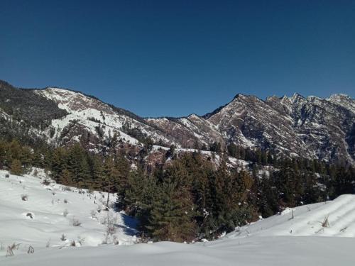 a snow covered mountain with trees in the foreground at Hima 360 Vistaview Mountain Cabin, Bhatkanda in Sainj