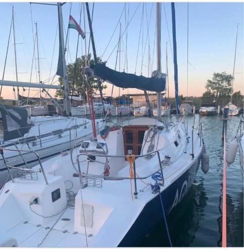 Aqua Enter36 Vitorlás