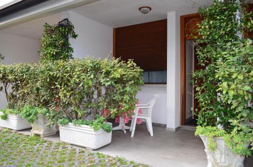 a porch with potted plants and a white chair at Hotel Magnolia in Preganziol