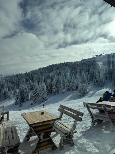 a table and benches on top of a snow covered slope at Woodside Kopaonik & SPA by Slopeview in Kopaonik