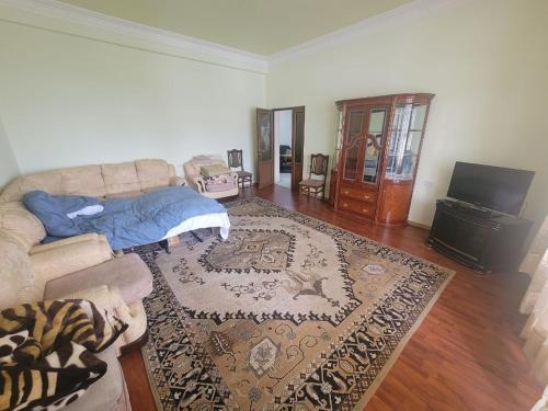 a living room with a couch and a rug at Tsaghkadzor Inn Guest House in Tsaghkadzor