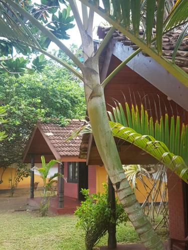 a house with a palm tree in front of it at Dreamvillage in Dodanduwa