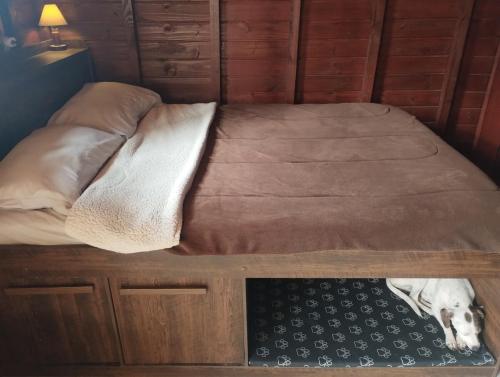 a dog laying on a bed in a room at Casinha inteligente in Botucatu