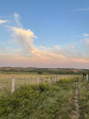 a fence in the middle of a field at Farmhouse in Kamouni in Dar Caïd Ahemd