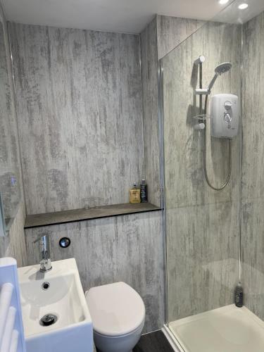 a bathroom with a shower and a toilet and a sink at Traeth Rooms in Cardigan