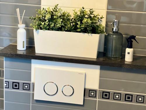 a bathroom counter with two plants on it at Isa'Bellescale - Fully equipped house 2km from Brussels South Airport in Ransart