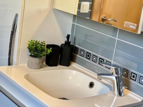 a bathroom sink with a faucet and a plant on it at Isa'Bellescale - Fully equipped house 2km from Brussels South Airport in Ransart