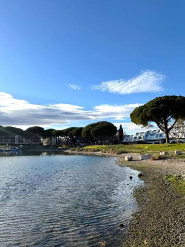 Ponant La Grande Motte Cosy Studio 4 pers Parking gratuit,Climatisation, accès piscine résidence, Golf, Plage
