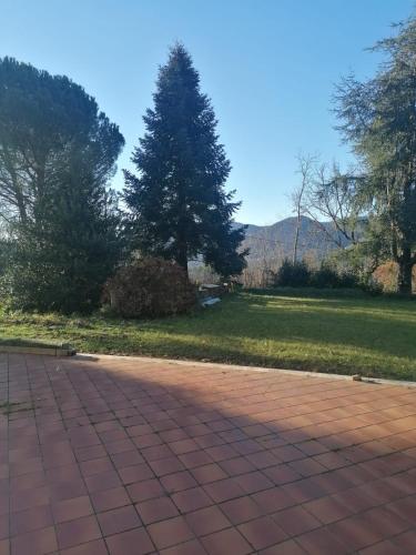 a park with a tree and a brick road at Le camelie 2 di Francesca in Polverara