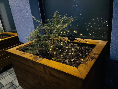 a wooden planter with christmas lights in it at Vila LEMAR wellness & spa in Huncovce
