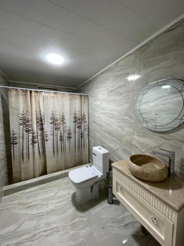 a bathroom with a toilet and a shower curtain at Zvartnots House in Ejmiatsin