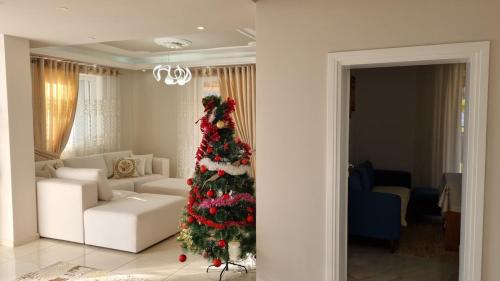 Un lugar para sentarse en Greis Home