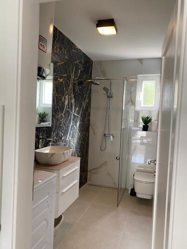 a bathroom with a shower and a sink and a toilet at Apartments Štica- Pelješac in Janjina