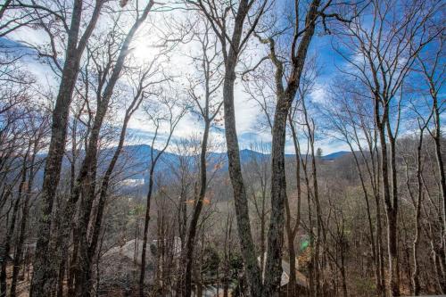 a group of trees with mountains in the background at 4 Pines in Boone