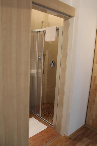 a shower with a glass door in a bathroom at Haus Fankhauser in Dorfgastein