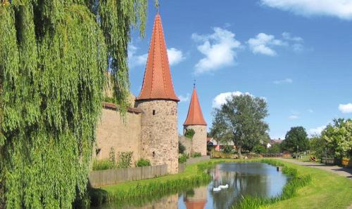 a castle with two towers and a river with swans in it at ruhiger als im Hotel, keine andere Gäste in Merkendorf