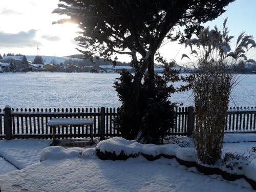 a tree and a bench in the snow at Gästehaus Reisacher - Ferienwohnung mit Frühstück in Peiting