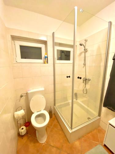 a bathroom with a shower and a toilet with a glass door at Burgblick Apartment- 60qm, Küche, Waschmaschine, Streamingdienste in Seebenstein