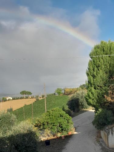 a rainbow in the sky over a road with bushes at Alchemilla Bed & Breakfast in Offida