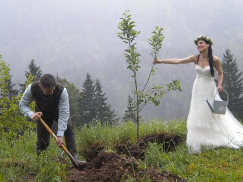 a bride and groom planting a tree in a field at Höhenstein in Lunz am See