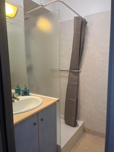 une salle de bain avec une douche avec un lavabo et un miroir dans l'établissement T2 appartement vue sur port, à Rochefort