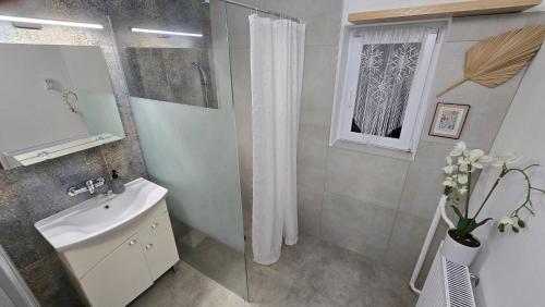 Koupelna v ubytování Apartmán Erika