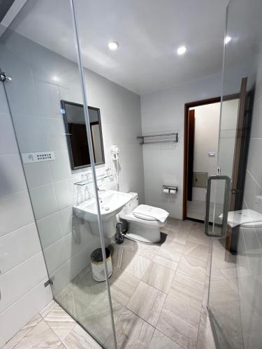 a bathroom with a toilet and a sink and a shower at Guoxiang B&B in Taitung City