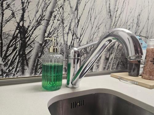 eine grüne Glasflasche auf einer Spüle in der Unterkunft Luxury Vacation Apartment Rental CBD Cape Town in Kapstadt