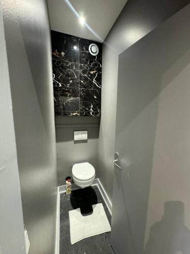 - une salle de bains avec des toilettes blanches dans une cabine dans l'établissement cosy spacieux appart au centre ville, à Bourg-en-Bresse