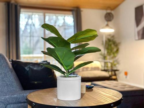 a potted plant sitting on a table in a living room at Comfort Cabin - 2BD Family Getaway in Creve Coeur in Creve Coeur