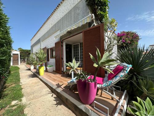Parrot Cage - the Gay Villa