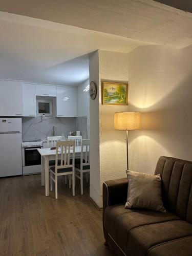 מטבח או מטבחון ב-Apartman Budva Centar