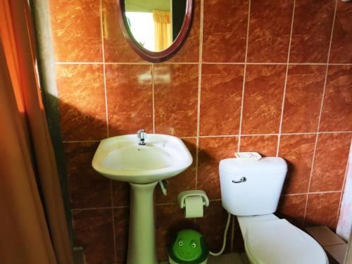 a bathroom with a sink and a toilet and a mirror at Amazon Golden Snake Lodge in Santa Teresa