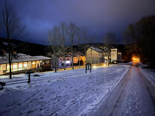 a snow covered street at night with a building at Apartament pod Honem in Cisna