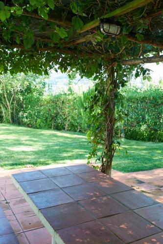 a pergola with a tree in a yard at Casa de Colares - Sintra Beach Pool Surf Getaway Work and Play in Colares