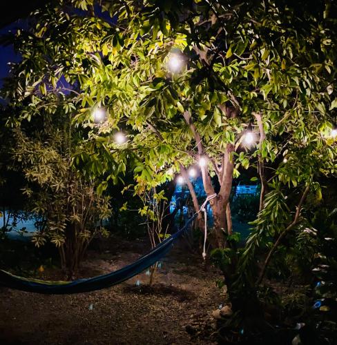 a hammock in a tree with lights on it at Rangiroa Ohana House in Avatoru