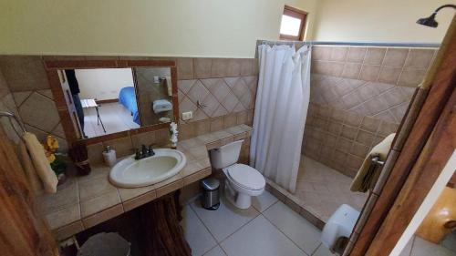 a bathroom with a sink and a toilet and a mirror at Hotel Orocay Lodge in Cartago